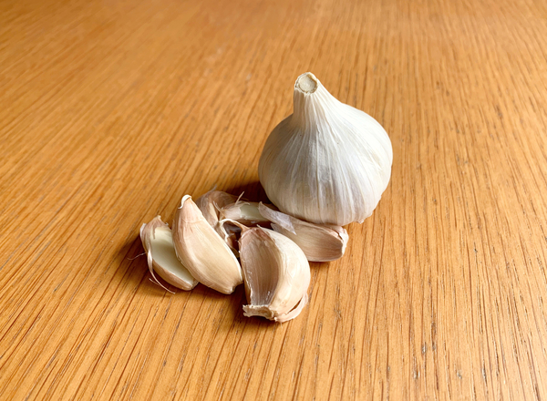 Garlic