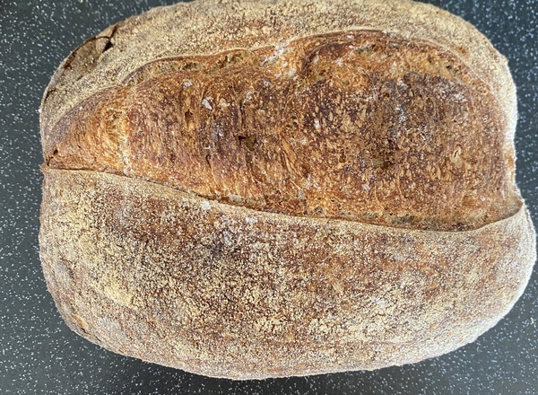 Sourdough Bread - White