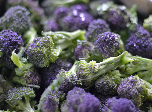 Purple sprouting broccoli