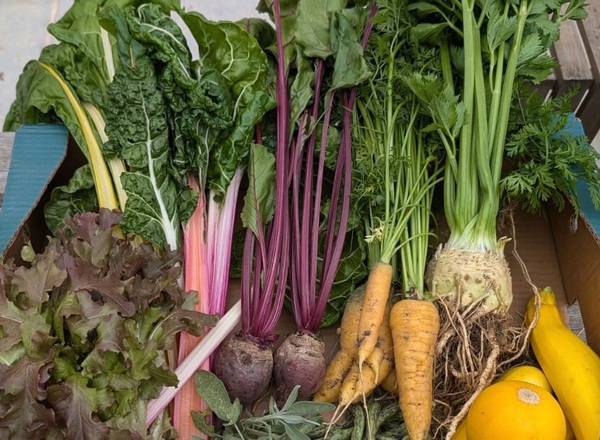 *Medi Organic Veg Box LC