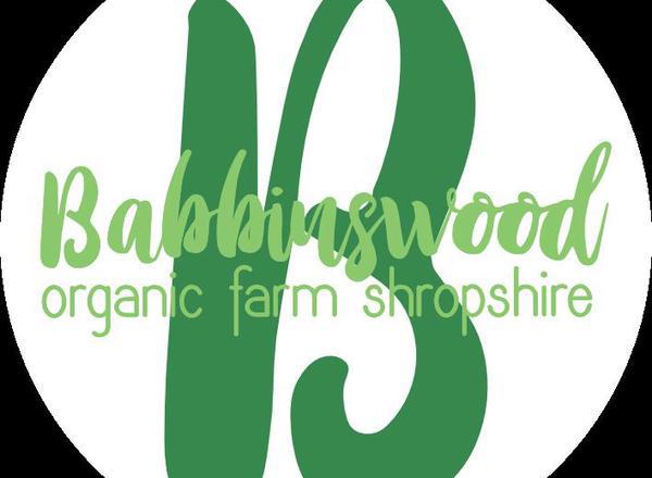 Babbinswood Lamb - Mince