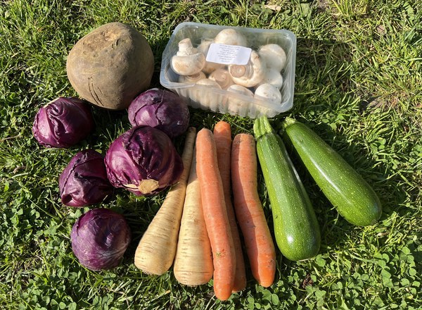 Small Veg Box No Potatoes