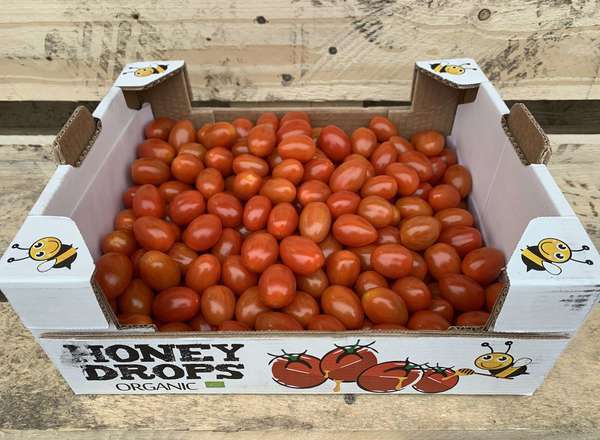 Organic Tomato Cherry Plum Honeydrop