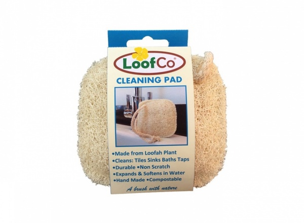 Cleaning Pad