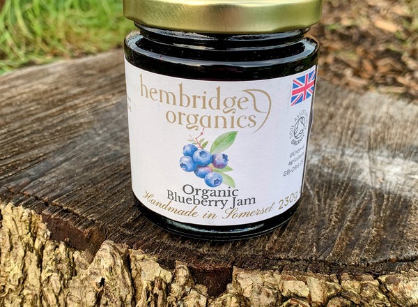 Organic Blueberry Jam (235g)