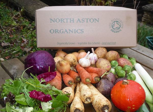 Organic Veg Boxes