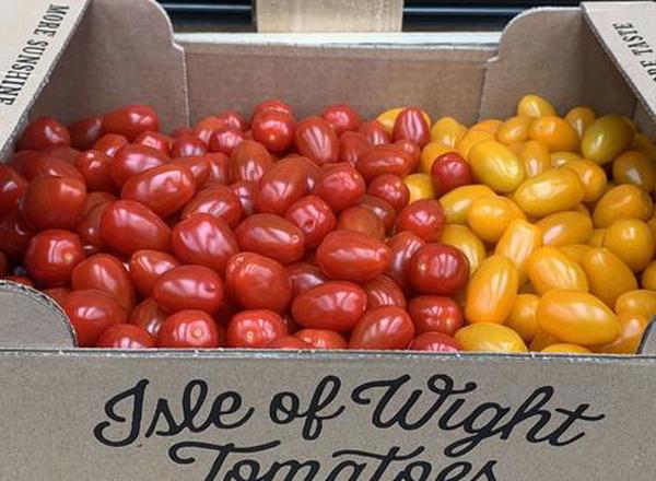 Tomato Mixed Plum