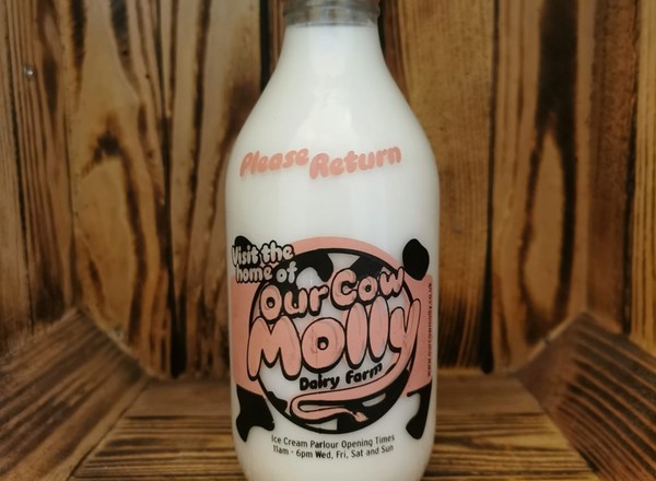 Our Cow Molly 1pint Glass Skim