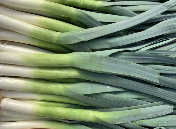 Leeks (Lancashire, UK)