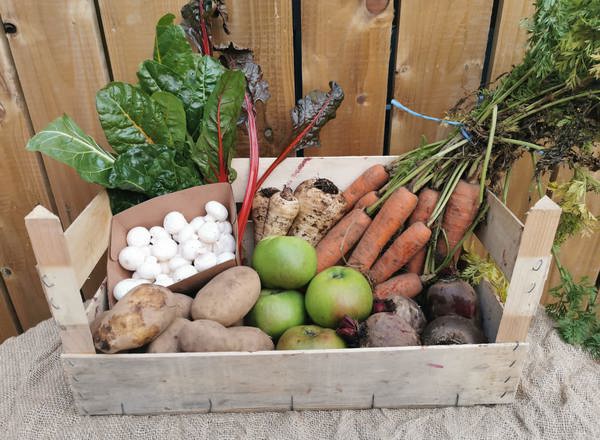 Fortnightly Vegetable Box