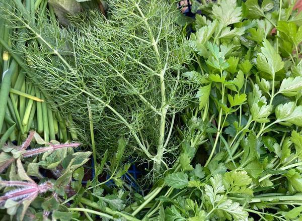 Salad and herb box