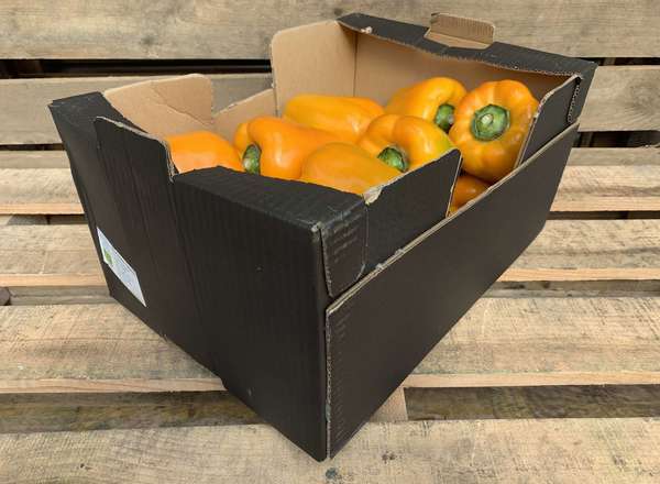 Organic Pepper Yellow