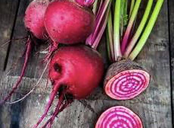 Beetroot, Rainbow (200g) 🇬🇧