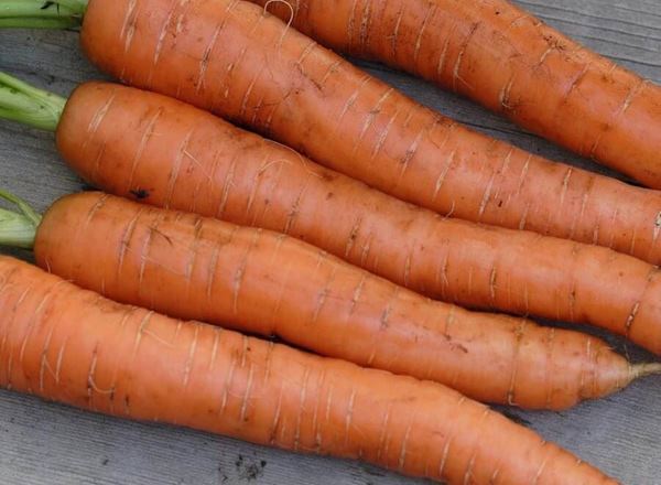 Carrot: 3kg