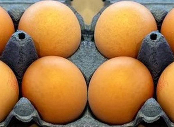 Eggs - Free Range (Dozen)