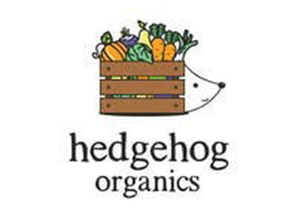 Castagno Organic Wholegrain Einkorn