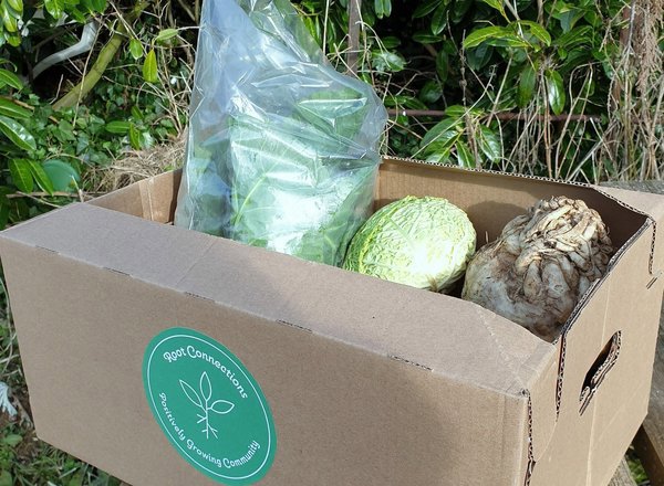 Pay it Forward Veg Box