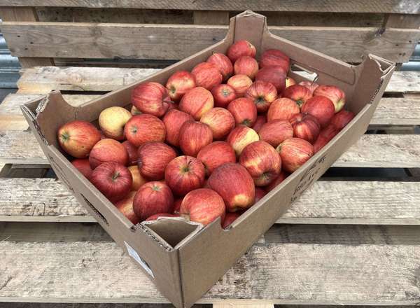 Organic Apple Royal Gala