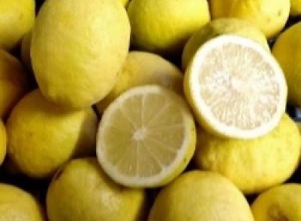 Lemons ( Green Skins ) - Organic ESP