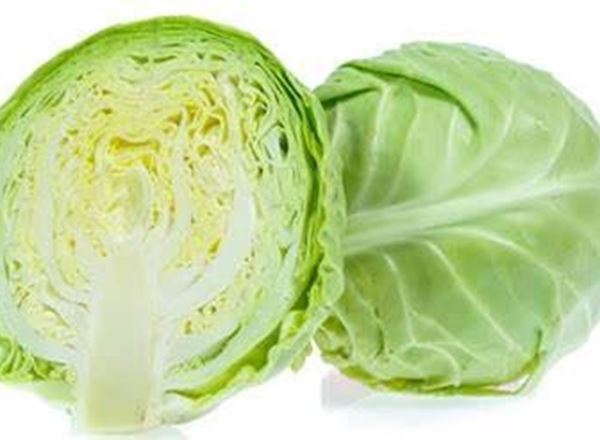 Cabbage - Green Summer