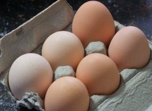 Free Range Eggs, Mixed Size (Organic) – Box of 6