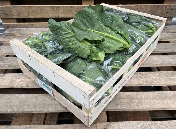 Organic Spring Greens Bagged 12 x approx 300g
