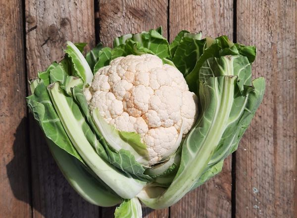 Cauliflower 🇬🇧