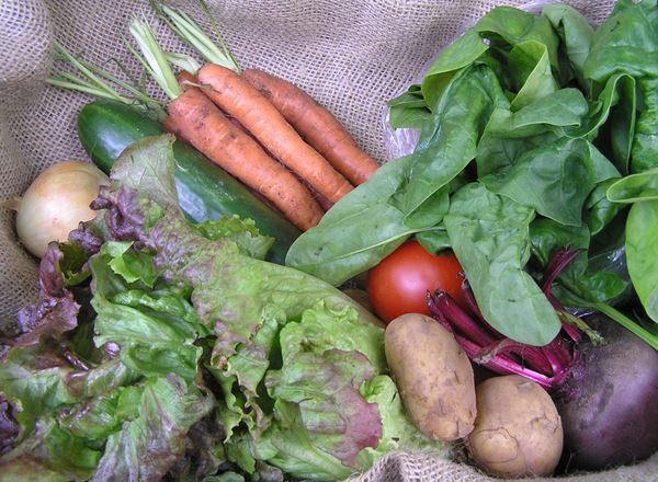 Organic Veg Boxes