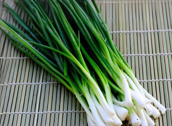 Spring Onion