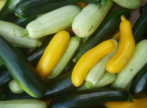 Courgettes, mixed colours - 500g