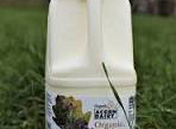DAIRY MILK WHOLE ORGANIC