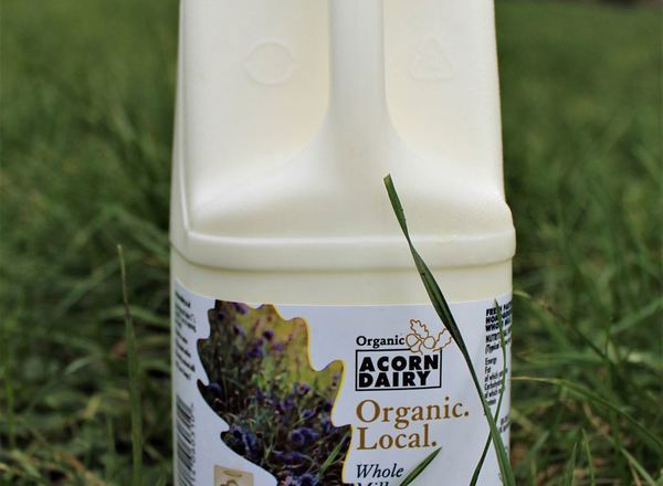 DAIRY MILK WHOLE ORGANIC