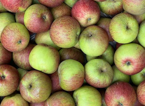 Apples - Lord Lambourne (Sussex, UK)