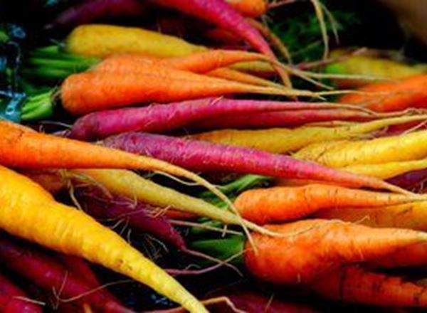 Carrots: Rainbow (500g)