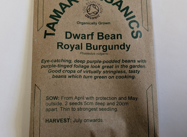 (Seeds) Dwarf Bean - Royal Burgandy