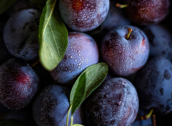 Organic Plums EU