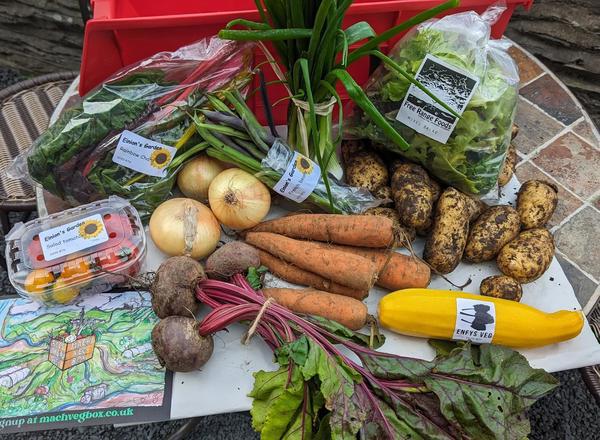 Large Vegbox