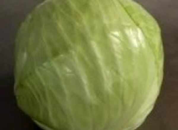 Cabbage White - Organic NL