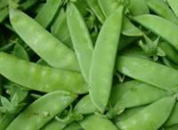 Peas - Mangetout 150g