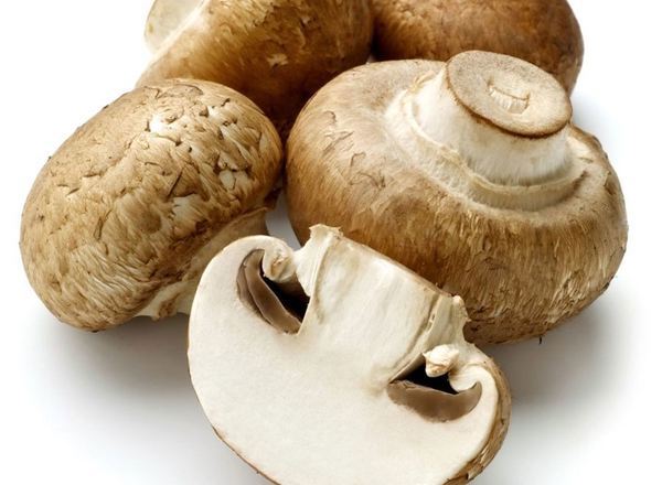 Mushrooms Organic