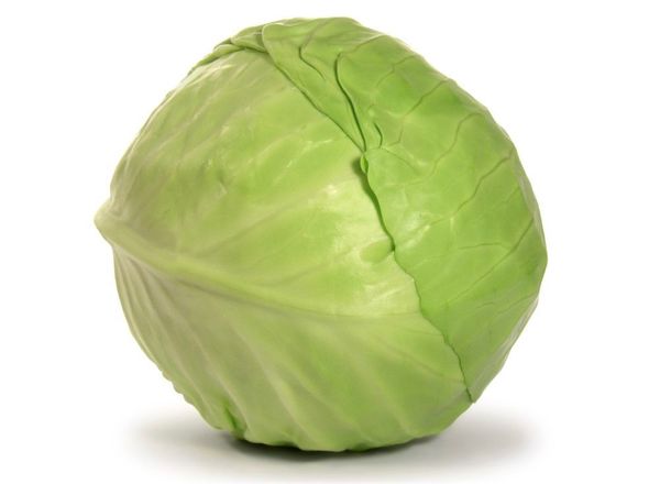 Cabbage: Green