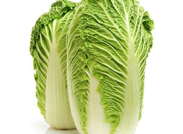 Cabbage Chinese