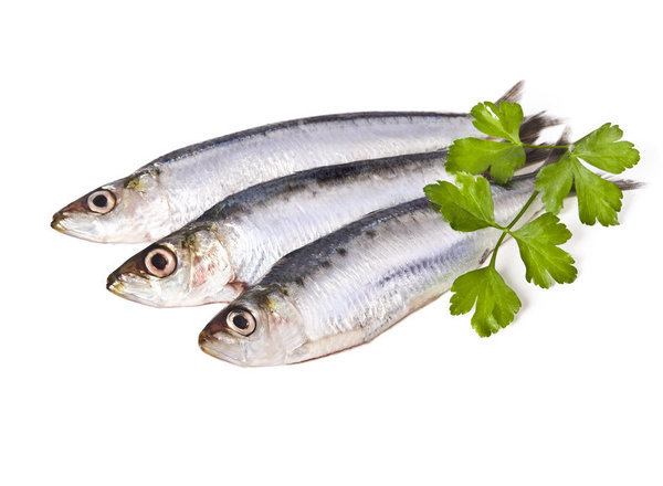 Sardine 1kg