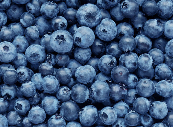 Blueberries - Punnet 125g