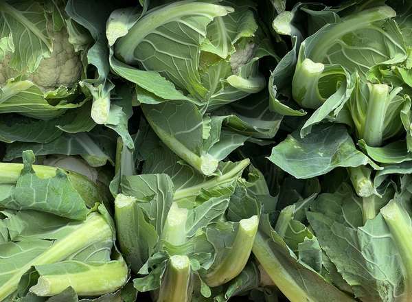 Cauliflower - Organic British