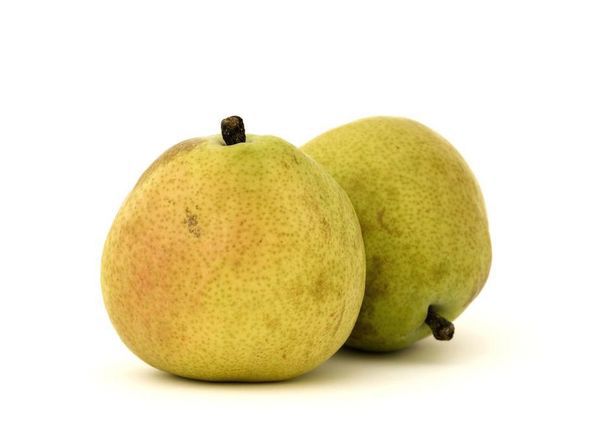 Pear: Anjou