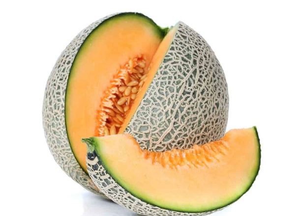 Melon Cantaloupe