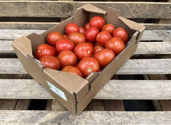 Organic Tomato Plum