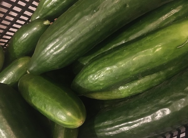 Cucumber