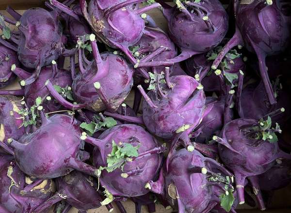 Organic Kohl Rabi (600g)